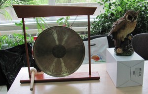 Фото к Фестиваль интеллектуальных игр «Совиниада-2011»