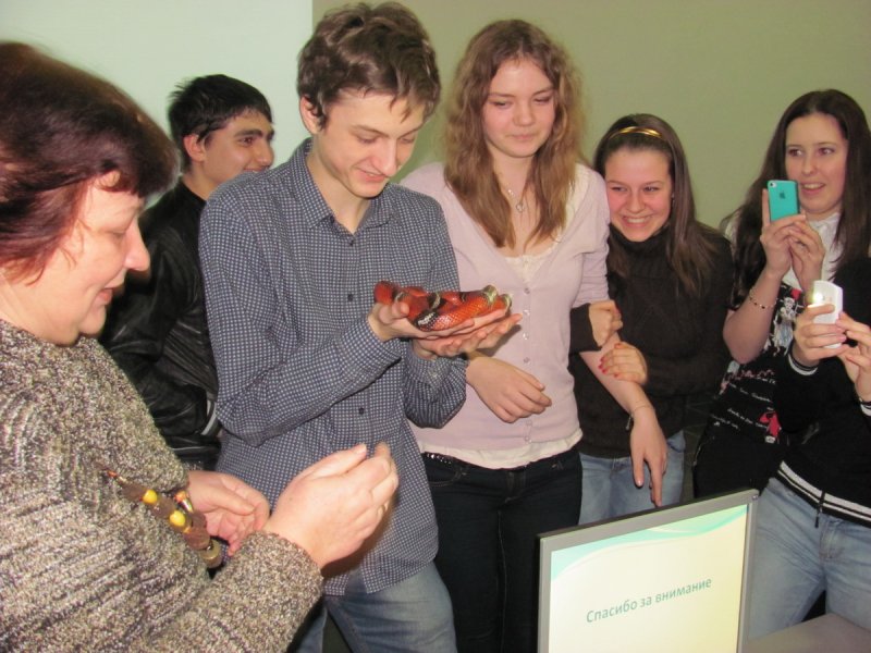 Фото к Анималотерапия — за и против