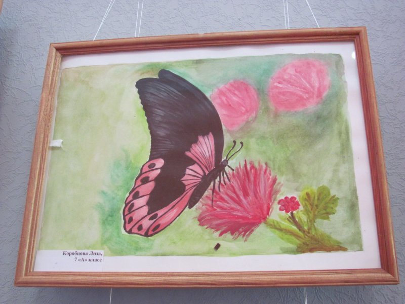 Фото к Открытие выставки во Всемирный день окружающей среды