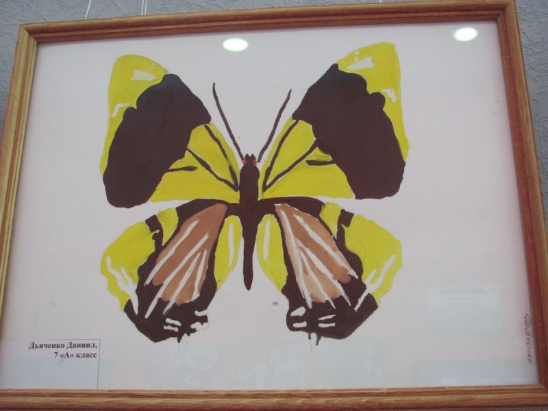 Фото к Открытие выставки во Всемирный день окружающей среды