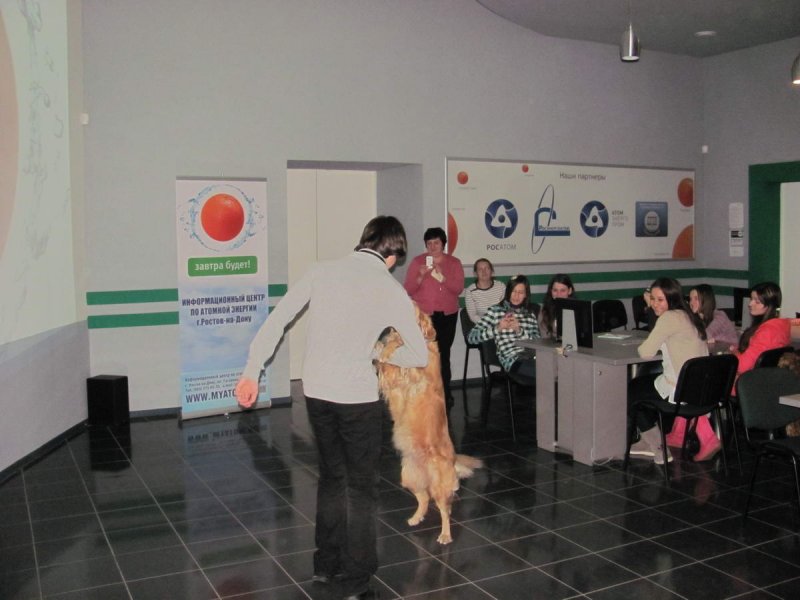 Фото к Человеческое отношение к животным