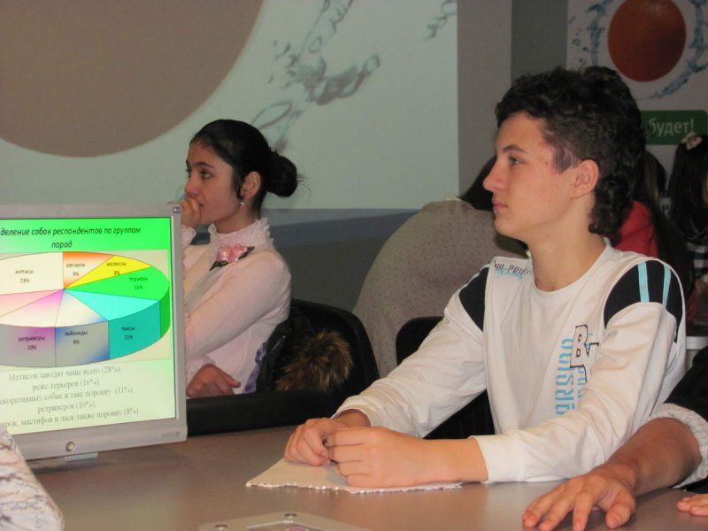 Фото к Человеческое отношение к животным