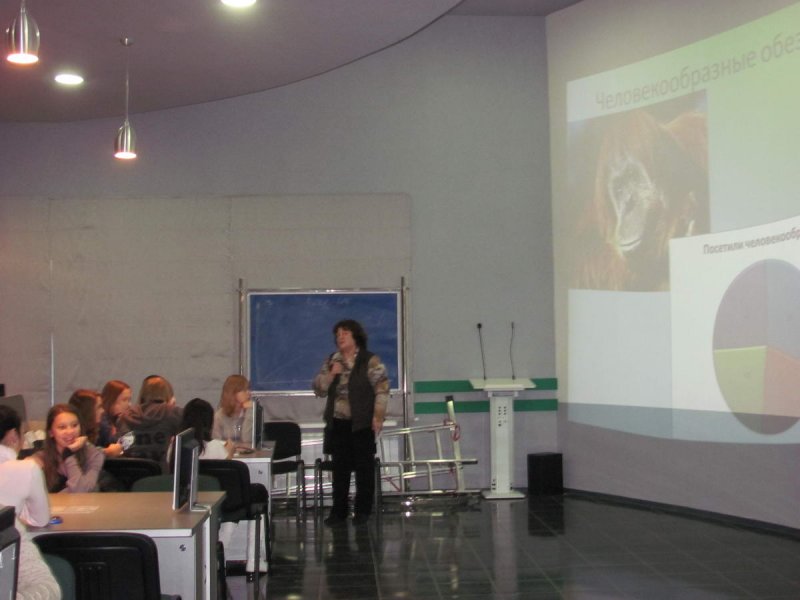 Фото к Человеческое отношение к животным