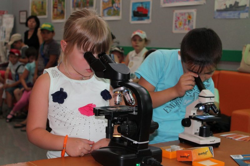 Фото к Веселые каникулы