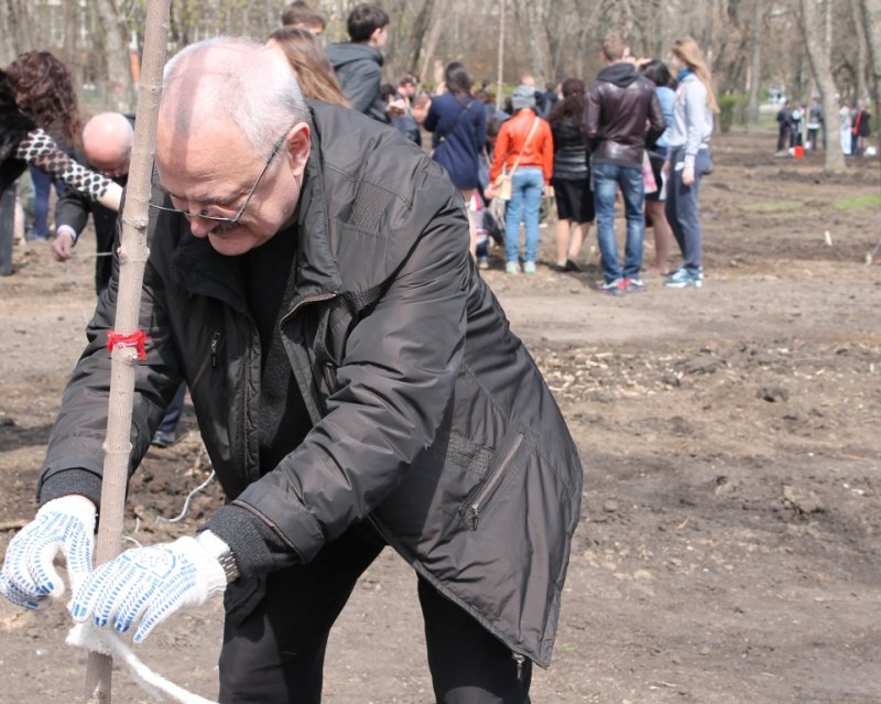 Фото к ИЦАЭ Ростова-на-Дону принял участие в городском празднике древонасаждения «Весна Победы»